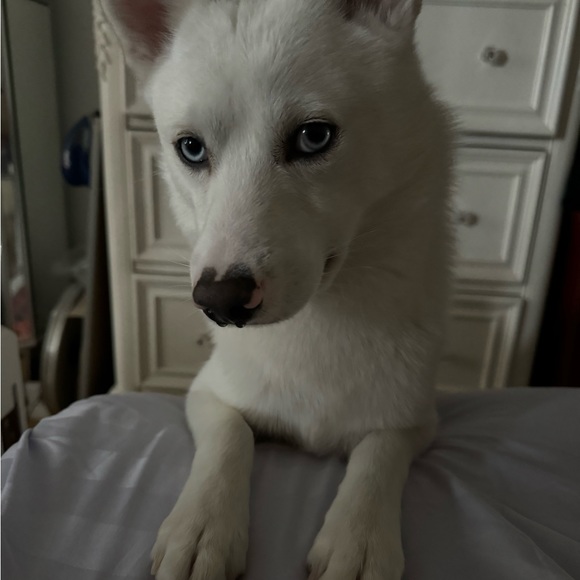 ciaraperez1080